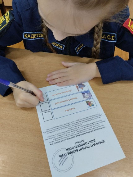 Ролевая игра «Выборы президента сказочного государства».